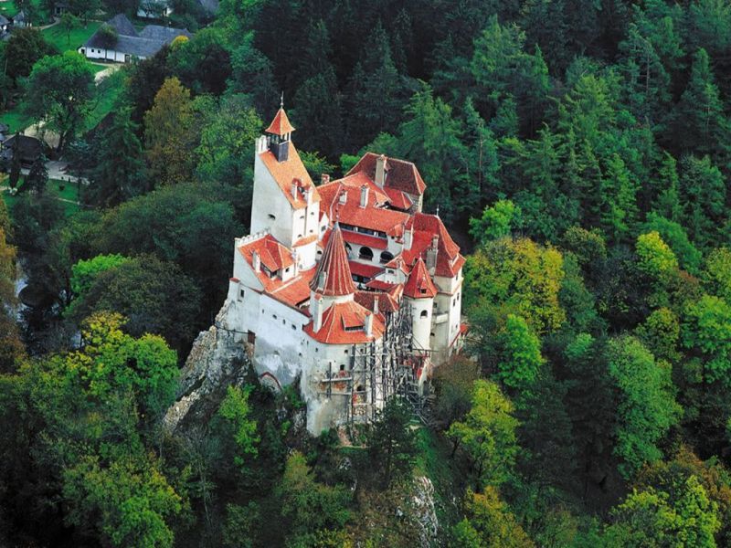 Premium Tour Bran & Peles Castle from Bucharest - Five things to know before you book