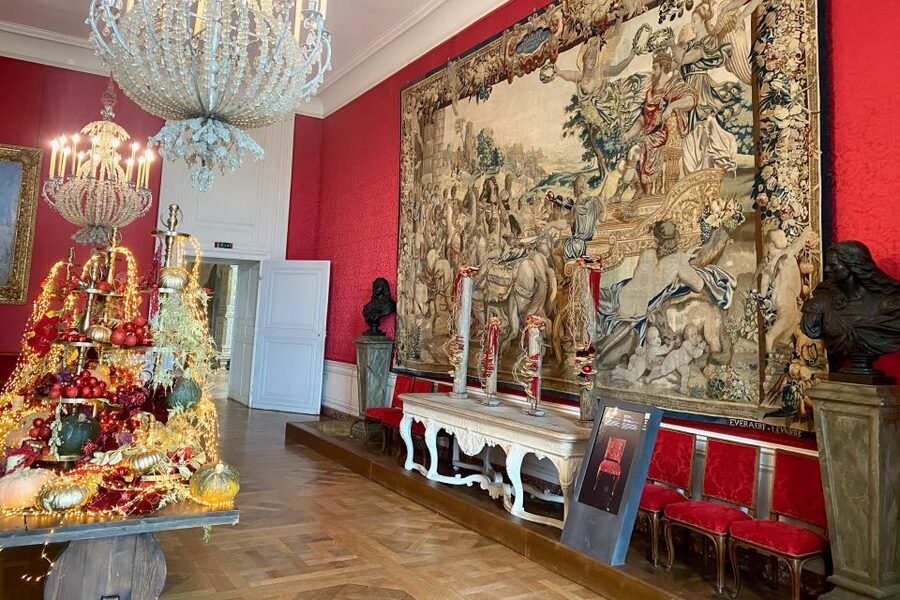 Private Chenonceau Chambord Amboise Loire Castles from Paris - Wine tasting at a family winery