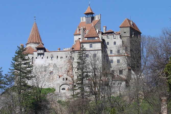 Private Day Tour from Brasov to Rasnov Fortress - Peles Palace in Sinaia, about 90 minutes