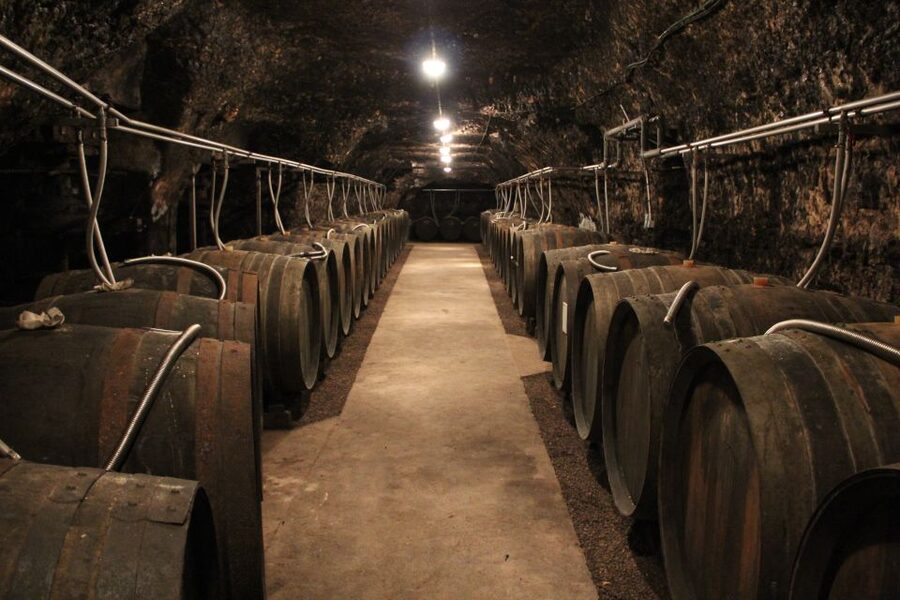 Private Day Tour to Loire Valley Castles & Wines from Paris - The afternoon winery and a wide tasting flight