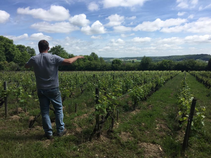 Private Day Tour to Loire Valley Castles & Wines from Paris - Practical advice for making the day better
