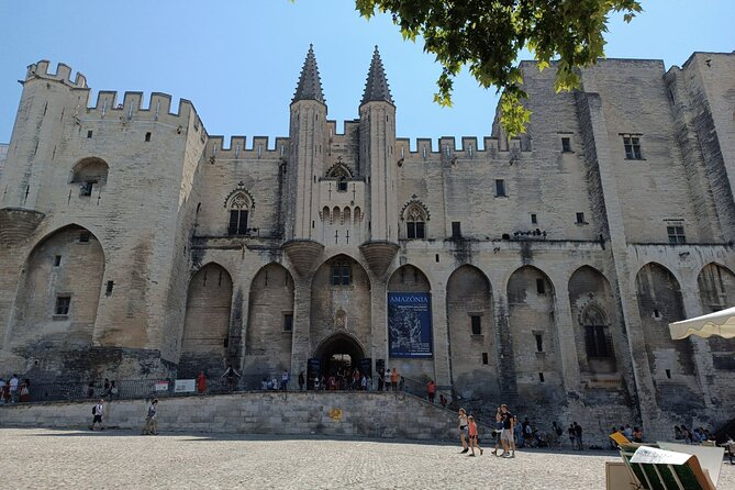 Private Full Day Tour Avignon & Wine Tasting Chateauneuf du Pape - Key points at a glance