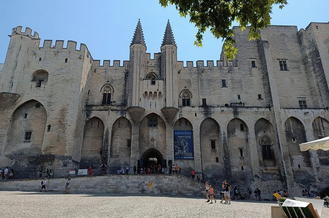 Private Full Day Tour Avignon & Wine Tasting Chateauneuf du Pape - Who should book this Avignon wine tour?