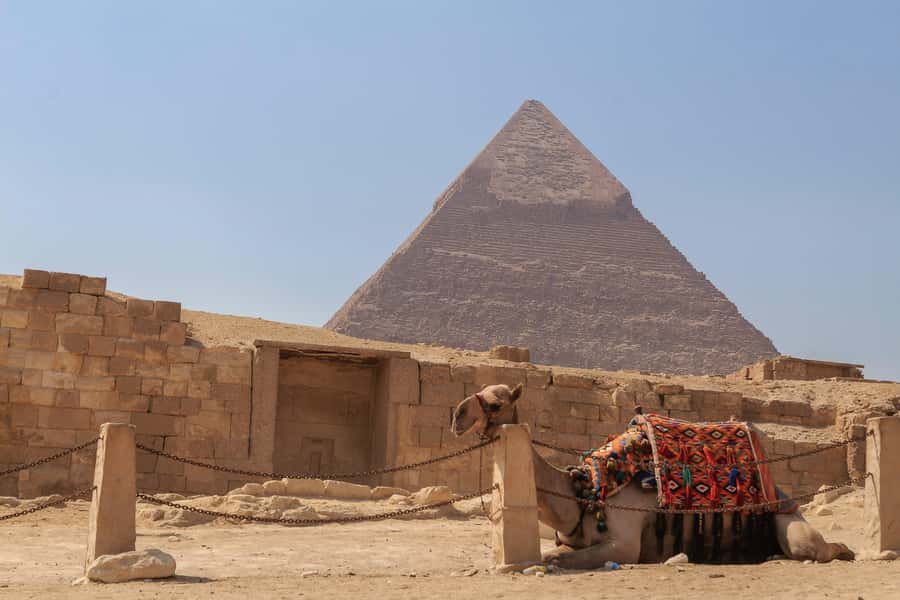 Private Giza Pyramids , Museum, Citadel and Cairo Bazaar - A local lunch before the city sights
