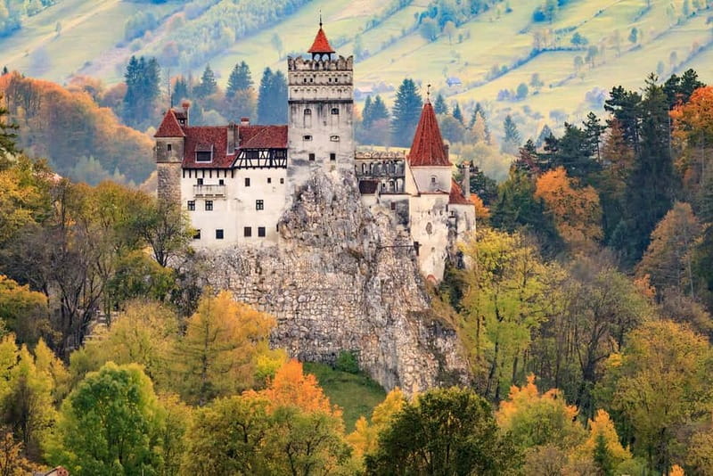 Private Guided Tour Dracula's Castle & Bear Sanctuary - Reading Brasov Through Its Saxon Streets