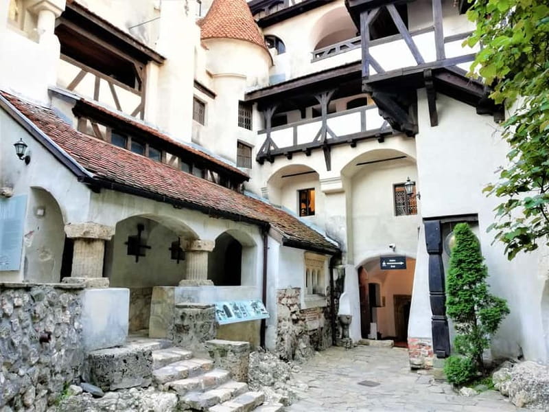 Private Guided Tour Dracula's Castle & Bear Sanctuary - What the $258 Price Really Buys