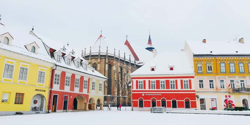 Private Guided Tour Dracula's Castle & Bear Sanctuary - Separating Dracula from Bran Castle