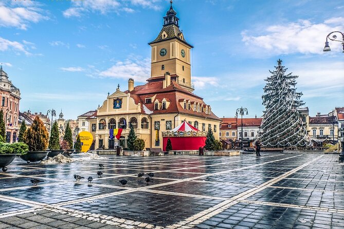 Private Guided Tour of Peles Castle and Bran Castle from Bucharest - Who should choose this castle tour?