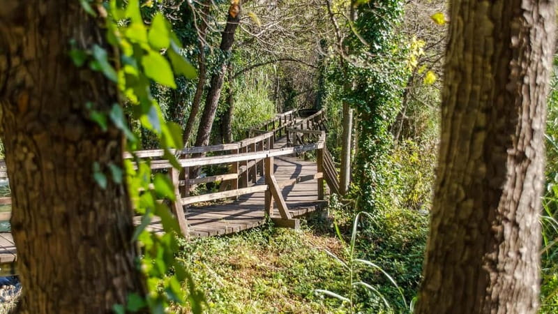 Private Krka National Park & Klis Fortress from Split - Key points to know before booking
