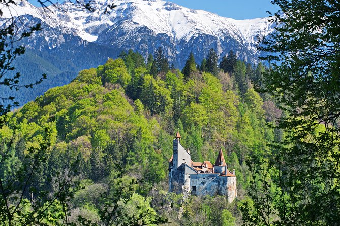 Private Movie Castles at Peles, Cantacuzino and Bran Castle Tour - Key points to know before you book