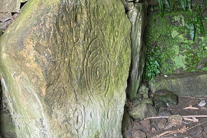 Private Tour from Dublin: Hill of Tara Trim Castle, Celtic sites - Diana’s guiding and the value of a private day