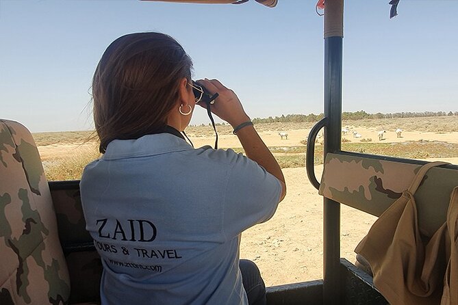 Private Tour of Desert Castles Eastern Jordan with optional Azraq Wetland Visit - Leaving Amman for the desert plains