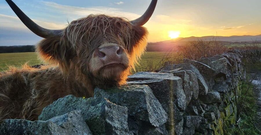 Private Tour of Highlands, Lochs & Castles from Edinburgh - Rannoch Moor and the road home