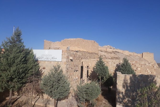 Private Tour Petra and Shobak Castle from Amman - What the $263 price includes