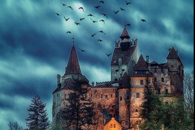 Private tour to Bran Dracula's Castle and Peleș Royal Castle - Guide quality can make or break the day