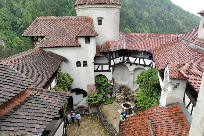 Private Tour to Dracula's Castle, Brașov City & Peleș Castle - The drive, traffic, and strict timing