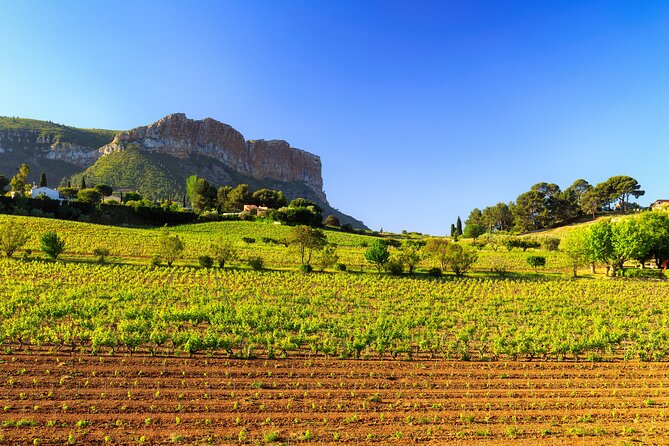 Provence Small Group Wine Full Day Tour in Chateauneuf du Pape vineyard from Aix - Lunch in the village, with your own budget