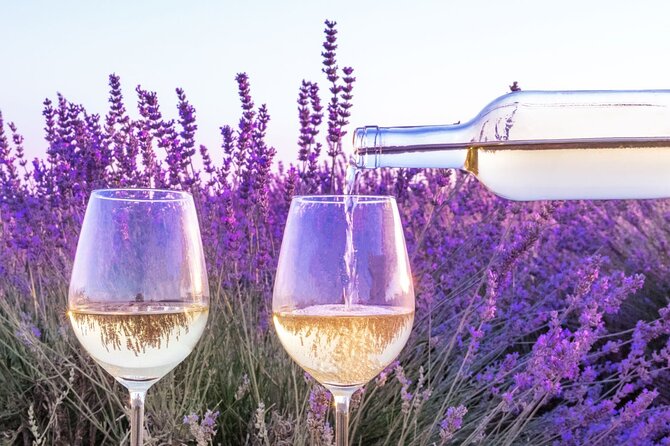 Provence Small Group Wine Full Day Tour in Chateauneuf du Pape vineyard from Aix - Is $190.10 a fair price?