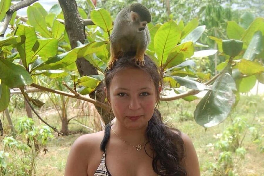 Puerto Plata: Monkey Tour, Fortress, and Historic Center - Calle de las Sombrillas and Callejón Rosado