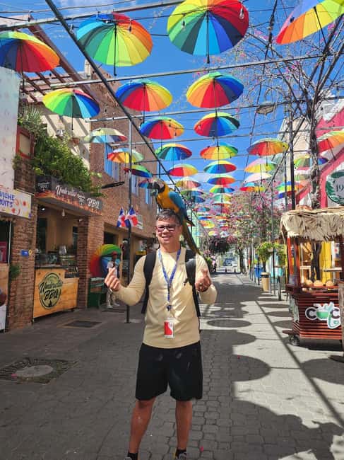 Puerto Plata: Monkey Tour, Fortress, and Historic Center - Pickup from Amber Cove, Taino Bay, or your hotel