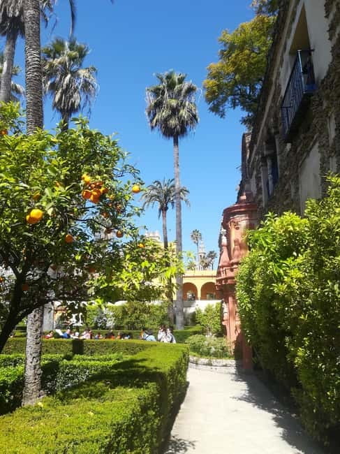 Real Alcázar of Seville Skip-the-Line Private Tour - The Gothic Palace and the Baths of María de Padilla