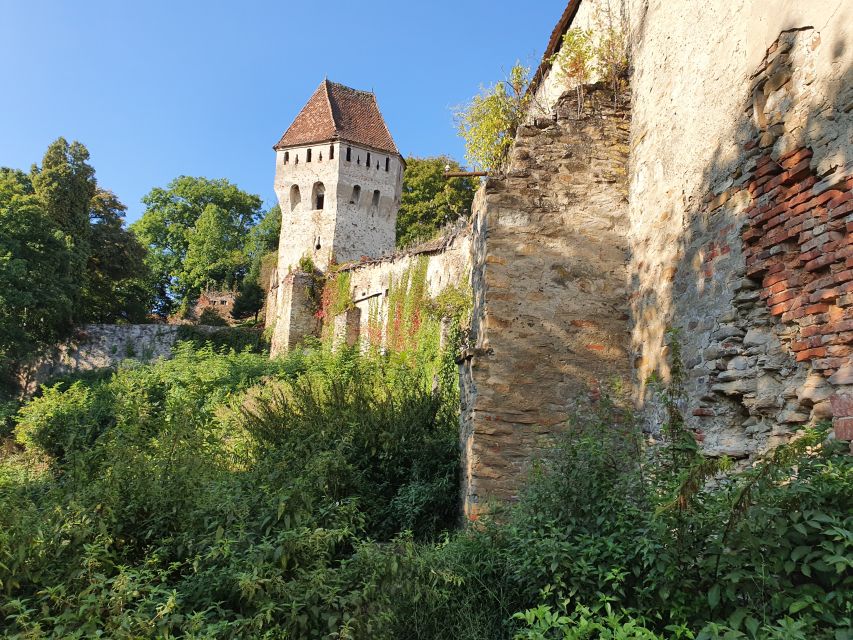 Real Dracula Princely Court and Real Dracula's Fortress - Poienari Castle and the 1,480-step climb