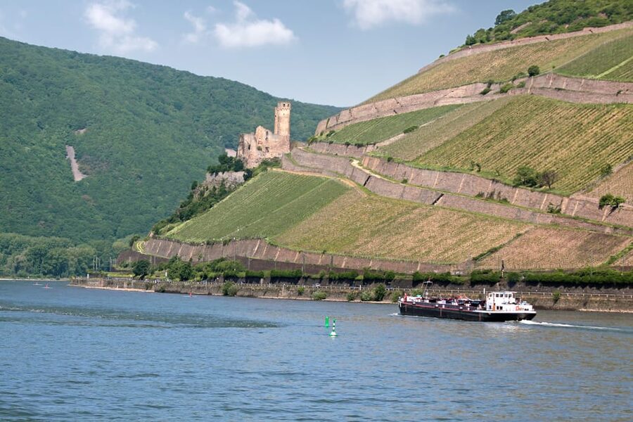Rhine Valley Castles: 1.5-Hour Boat Tour from Rüdesheim - Who should book this Rhine cruise?