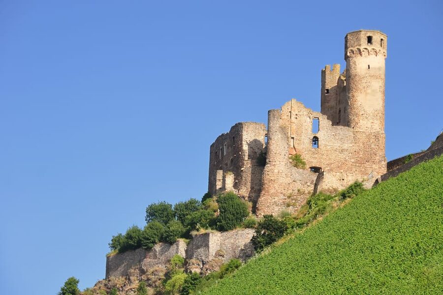Rhine Valley Castles: 1.5-Hour Boat Tour from Rüdesheim - Bingen, the Nahe, and the Mouse Tower