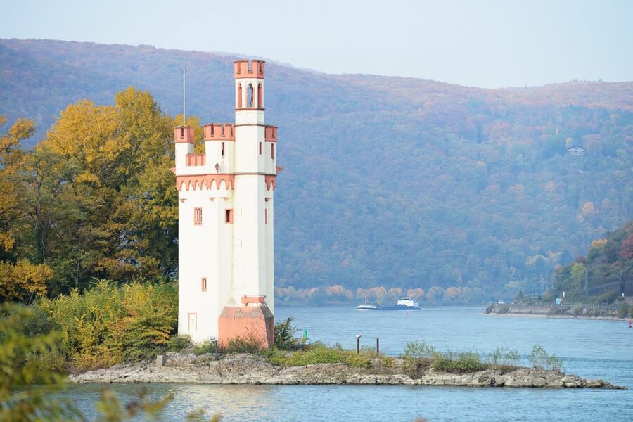 Rhine Valley Castles: 1.5-Hour Boat Tour from Rüdesheim - Vineyards from Rüdesheim to Assmannshausen