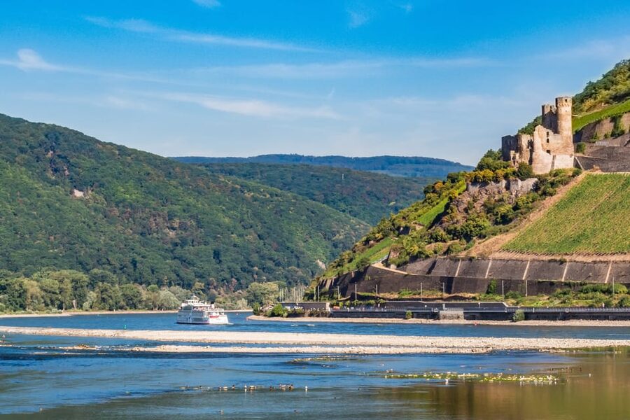 Rhine Valley Castles: 1.5-Hour Boat Tour from Rüdesheim - Rhine Romanticism in real places