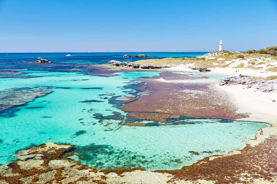 Rottnest Fortress Adventure Segway Package - Choosing Perth or Fremantle for the ferry