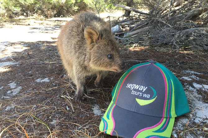 Rottnest Island Segway Tour: Fortress Adventure Tour - Bickley Battery and the island’s defence story