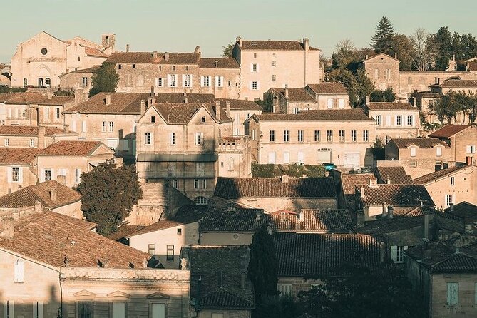 Saint Emilion Castle and Village Wine Tour - Why this six-hour outing works