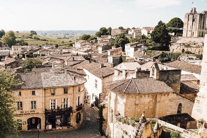 Saint Emilion Castle and Village Wine Tour - Two château visits, with the estate chosen for you