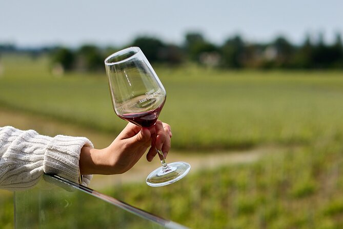 Saint-Émilion day tour: village visit, Châteaux and lunch - What the guides add to the day