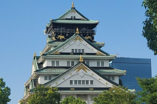 [Same Day OK] Osaka 4 hour, Castle, Market, Walking tour - What this Osaka tour really gives you
