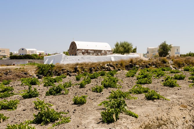 Santorini Highlights and Venetian Castles Small-Group Day Tour - Akrotiri’s southern view of the caldera