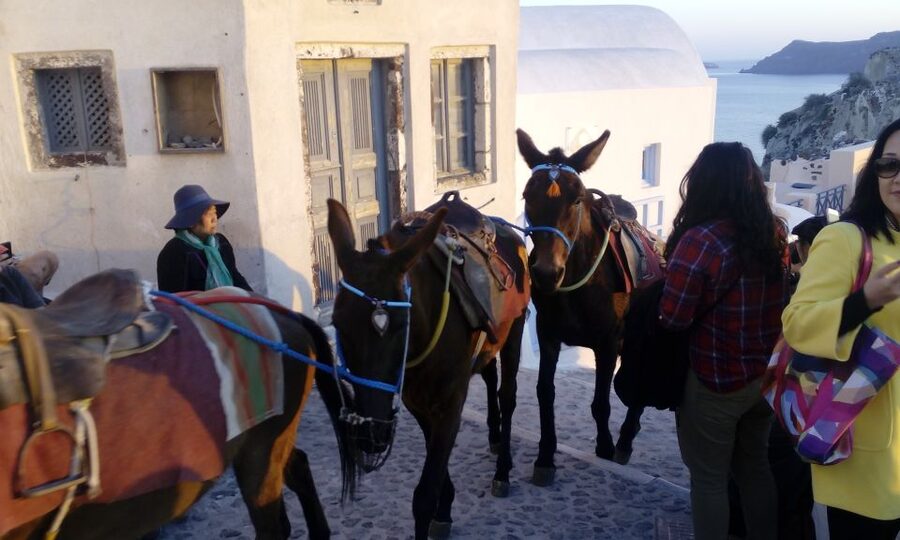 Santorini: Small-Group Highlights Tour of Venetian Castles - Oia at sunset, beautiful and crowded