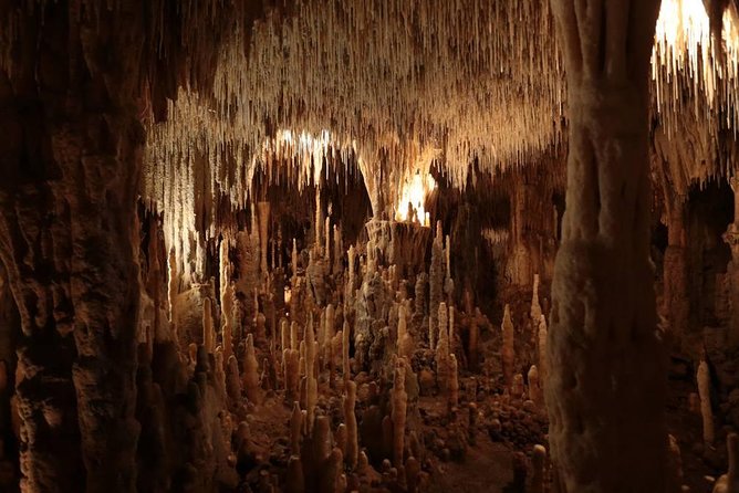 Sarlat : Private Tour to Prehistoric Cave + Castle by Exploreo24 - Should you book this Dordogne tour?