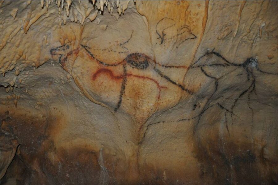 Sarlat : Private tour to Prehistoric Cave + Medieval Castle - Key points to know before booking
