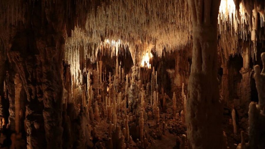 Sarlat : Private tour to Prehistoric Cave + Medieval Castle - From primeval life to the Dordogne valley