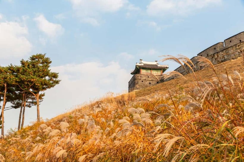 Seoul: Suwon Hwaseong Fortress & Korean Folk Village Tour - Why this Seoul day trip works