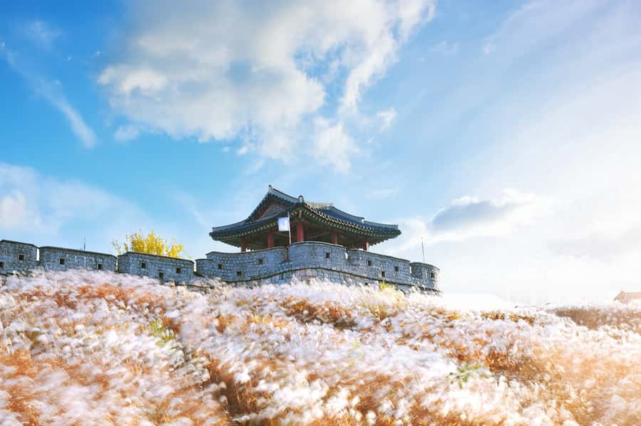 Seoul : Suwon Hwaseong Fortress+Starfield Library+Waujeongsa - Key Points Before You Book