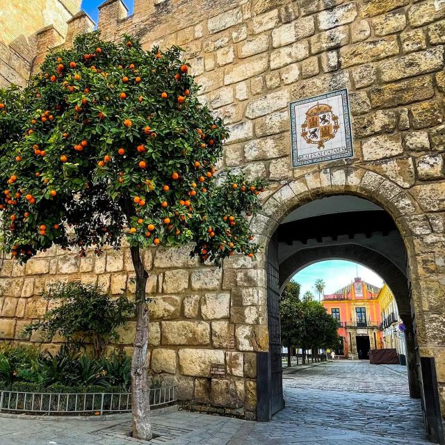 Seville: Alcazar, Cathedral, and Giralda Skip-the-Line Tour - Meeting at Plaza Nueva and Constitution Avenue