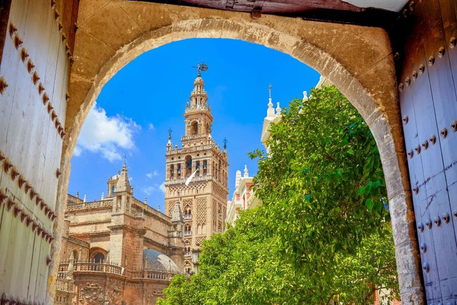 Seville: Alcázar Guided Palace Tour with Priority Access - Courtyards, royal rooms, and the pleasure of looking up