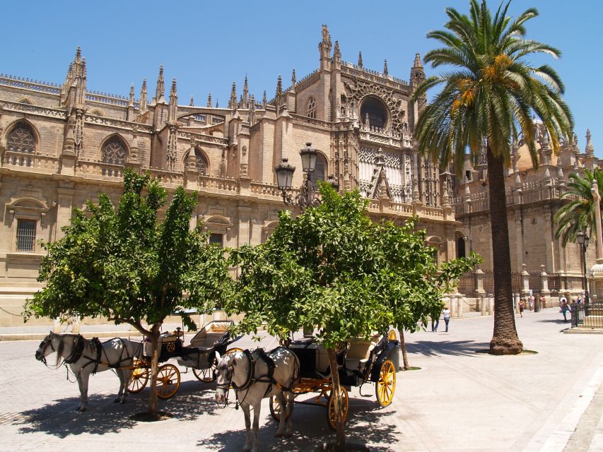 Seville: Alcázar Guided Palace Tour with Priority Access - Game of Thrones locations, with the palace first