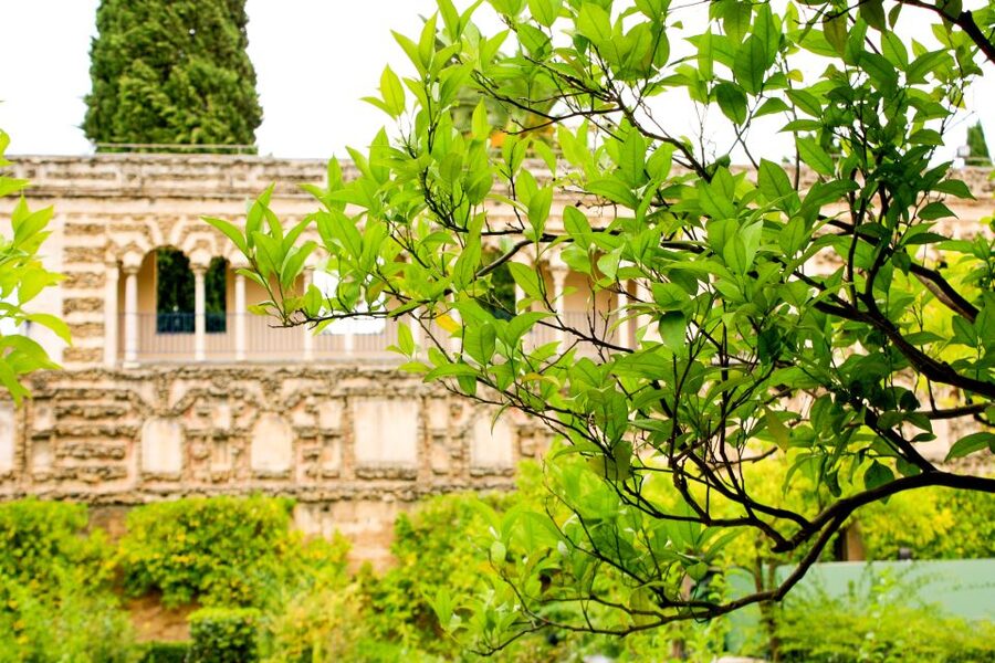 Seville: Alcazar Skip-the-Line Guided Tour with Tickets - Courtyards, fountains, and palace details