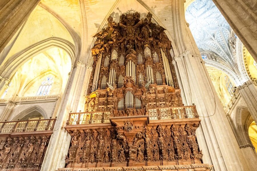 Seville Guided Tour: Cathedral, Giralda & Optional Alcázar - Guide quality and the language experience