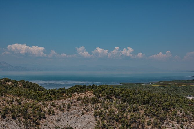 Shkodra from Tirana: Day Tour of castle, city & Skadar Lake - The bazaar and everyday Shkodra