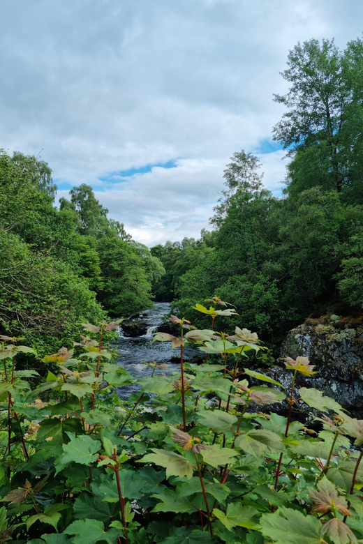 Shore excursion from Invergordon - Castles, Scenery & Whisky - What the $902 group price really means